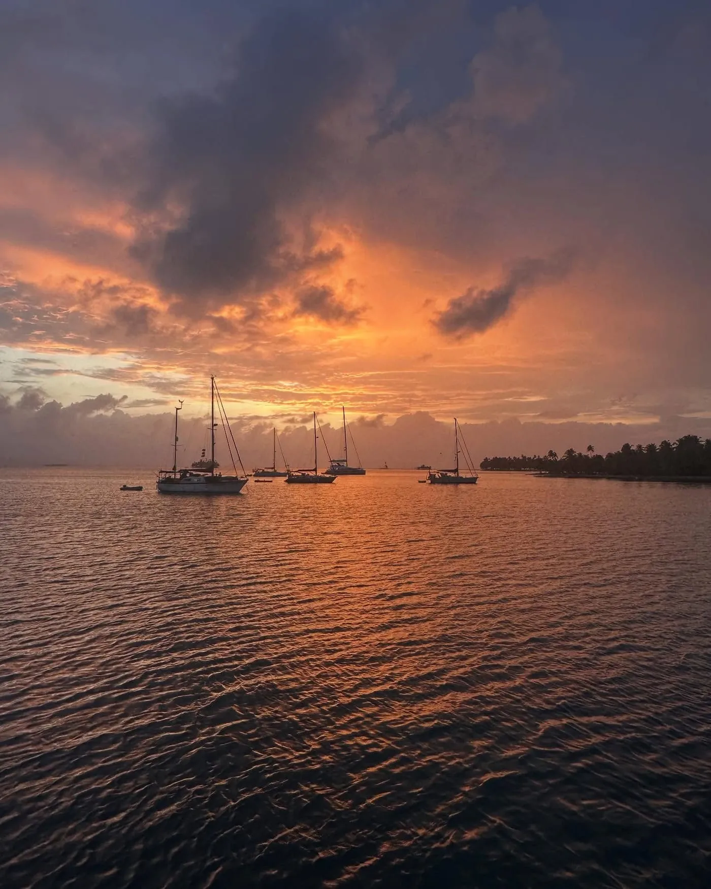 Paradise Express · 2 Islas 5